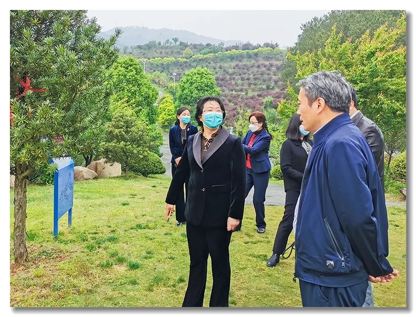 ▲肖红娟在骆驼坳镇燕窝塆村了解村企共建、产业扶贫情况